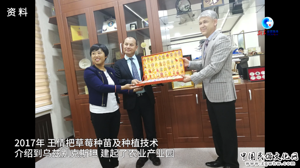 中国-中亚峰会|爱种草莓的王倩:将先进种植技术引入乌兹别克斯坦